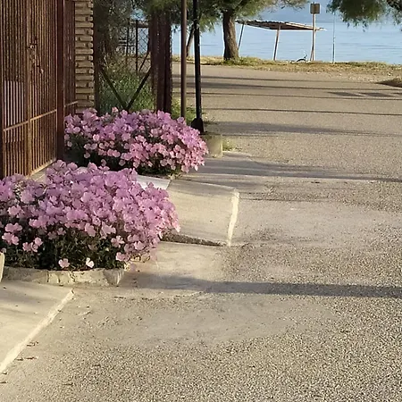 Vakantiehuis Seaside House