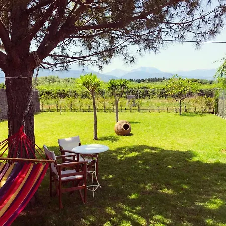 Tatil Evi Seaside House Aigio
