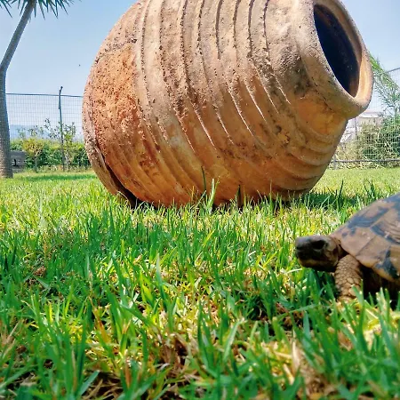 Seaside House Casa vacanze