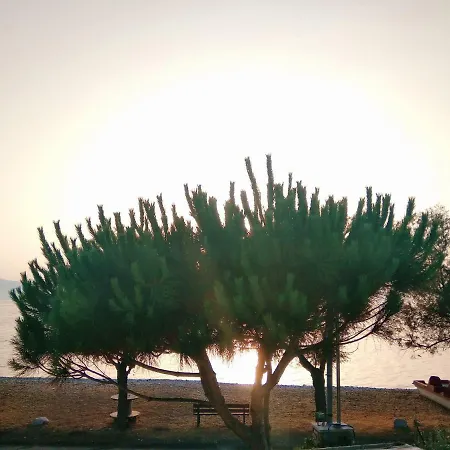 Seaside House Tatil Evi