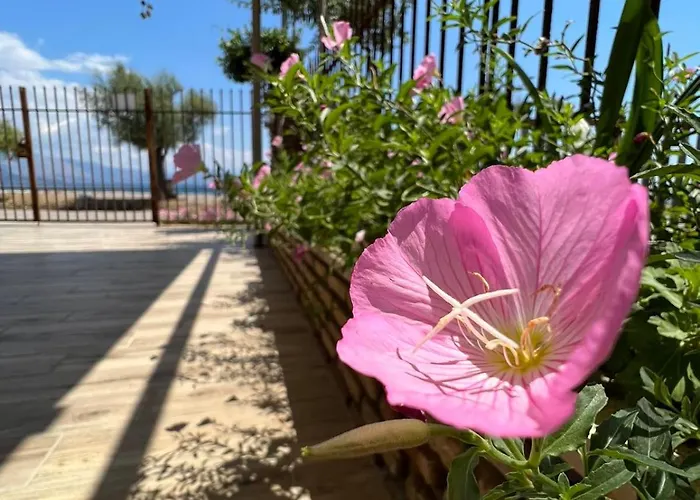 Seaside House Vakantiehuis
