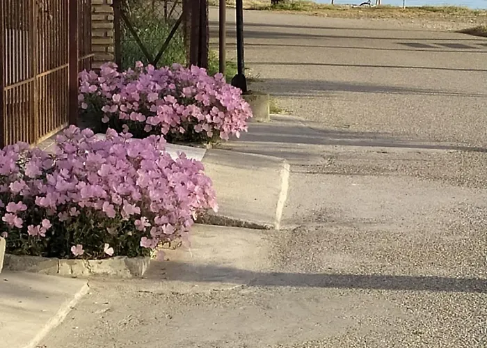 Vakantiehuis Seaside House