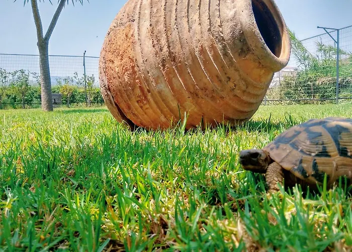 Seaside House Vakantiehuis